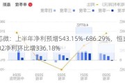 瑞芯微：上半年净利预增543.15%-686.29%，恒玄科技Q2净利环比增336.18%