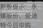 新股提示：永臻股份、爱迪特今日申购