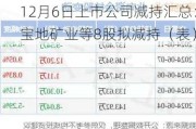 12月6日上市公司减持汇总：宝地矿业等8股拟减持（表）