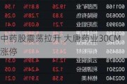 中药股震荡拉升 大唐药业30CM涨停