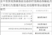 金平苗族瑶族傣族自治县农村信用合作联社员工异常行为管理不到位 时任稽核审计部经理被罚