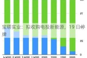 宝塔实业：拟收购电投新能源，19 日停牌