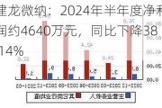 建龙微纳：2024年半年度净利润约4640万元，同比下降38.14%