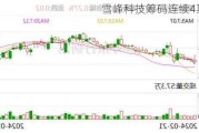 雪峰科技筹码连续4期集中