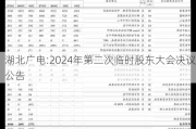 湖北广电:2024年第二次临时股东大会决议公告