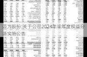 迈为股份:关于公司2024年半年度权益分派实施公告