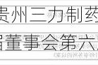 贵州三力:贵州三力制药股份有限公司第四届董事会第六次会议决议公告