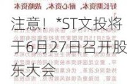 注意！*ST文投将于6月27日召开股东大会