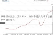 赣锋锂业股价上涨6.71%：自供率提升及成本改善助力盈利增长