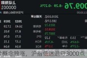 芯片概念独涨，沪指低迷退守3000点