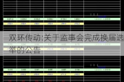 双环传动:关于监事会完成换届选举的公告