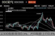 沪深300指数微涨0.3%：A50指数上行0.4%