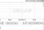 宏和科技（603256）：6月18日09时43分触及涨停板