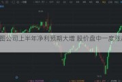 美图公司上半年净利预期大增 股价盘中一度涨超10%