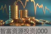 智富资源投资(00007)：预计2024年7月31日前完成全年业绩审核