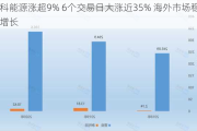 晶科能源涨超9% 6个交易日大涨近35% 海外市场稳定增长