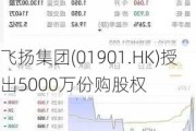 飞扬集团(01901.HK)授出5000万份购股权