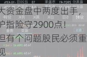 大资金盘中两度出手，沪指险守2900点！但有个问题股民必须重视