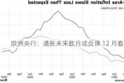 欧洲央行：通胀未来数月或反弹 12 月看数据