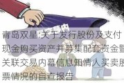 青岛双星:关于发行股份及支付现金购买资产并募集配套资金暨关联交易内幕信息知情人买卖股票情况的自查报告