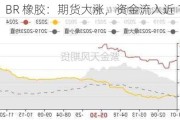 BR 橡胶：期货大涨，资金流入近 10 亿