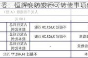 深交所上市委：恒辉安防发行可转债事项6月14日上会