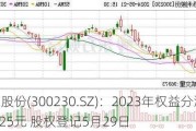 ***股份(300230.SZ)：2023年权益分派10派1.25元 股权登记5月29日