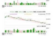 午盘：美股小幅下滑 道指下跌0.1%