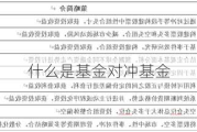 什么是基金对冲基金