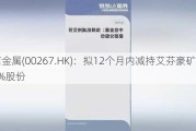 中信金属(00267.HK)：拟12个月内减持艾芬豪矿业约2%股份