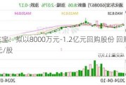 通化东宝：拟以8000万元-1.2亿元回购股份 回购价不超12元/股