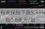 有家保险下跌5.33%，报0.8美元/股