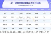 澜起科技(688008.SH)：获得政府补助4600万元