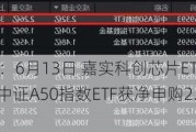 ETF资金流向：6月13日 嘉实科创芯片ETF获净申购4.62亿元 平安中证A50指数ETF获净申购2.69亿元（附图）