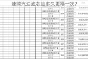 速腾汽油滤芯应多久更换一次？