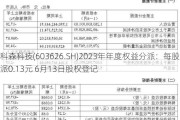 科森科技(603626.SH)2023年年度权益分派：每股派0.13元 6月13日股权登记