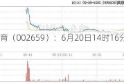 凯文教育（002659）：6月20日14时16分触及涨停板