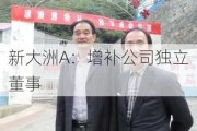 新大洲A：增补公司独立董事