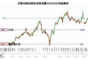 协鑫能科（002015）：7月12日13时41分触及涨停板