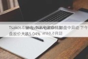 Tsakos Energy Navigation Ltd盘中异动 下午盘股价大跌5.04%