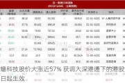 龙蟠科技股价大涨近57% 获调入深港通下的港股通今日起生效