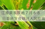 江淮黄淮等地 7 月 6-8 日草地贪夜蛾迁入风险高