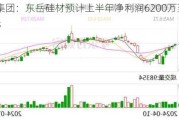 东岳集团：东岳硅材预计上半年净利润6200万至6800万元