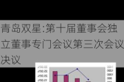 青岛双星:第十届董事会独立董事专门会议第三次会议决议