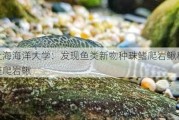 上海海洋大学：发现鱼类新物种珠鳍爬岩鳅和绿斑爬岩鳅