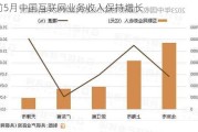 前5月中国互联网业务收入保持增长