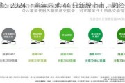 德勤：2024 上半年内地 44 只新股上市，融资 325 亿