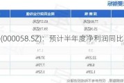 深赛格(000058.SZ)：预计半年度净利润同比下降62.69%