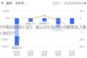 ST中南(000961.SZ)：截止6月28日公司股东总人数为11.60万户