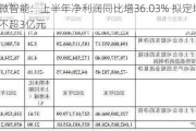 智微智能：上半年净利润同比增36.03% 拟定增募资不超3亿元